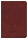 ESV Bible Promises - 700 Passages to Strengthen Your Faith - TruTone Leather